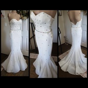 Terani couture mermaid beaded gown